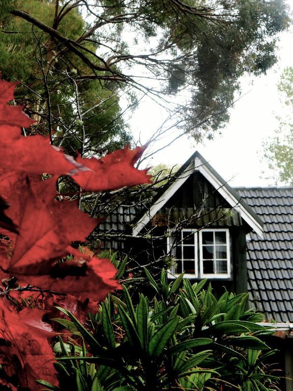 Arden Country House Waitati Dış mekan fotoğraf