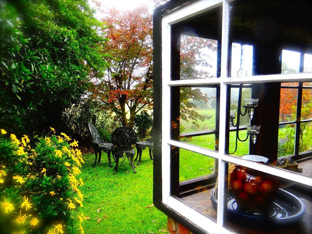 Arden Country House Waitati Dış mekan fotoğraf