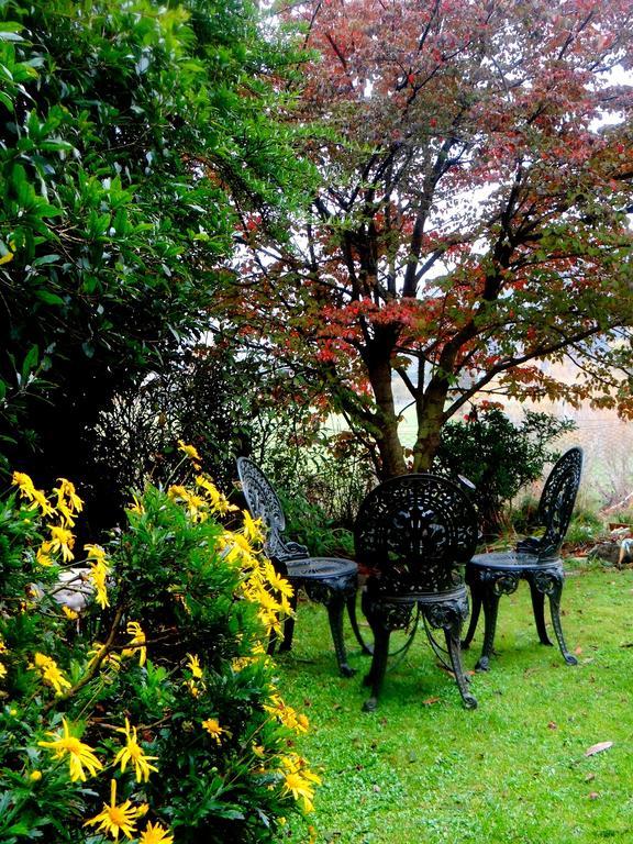 Arden Country House Waitati Dış mekan fotoğraf